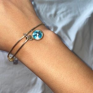Alex& Ani Charm Bangle